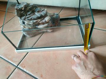 tartarughiera in vetro