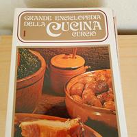 Grande enciclopedia della cucina Curcio