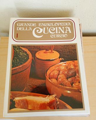Grande enciclopedia della cucina Curcio