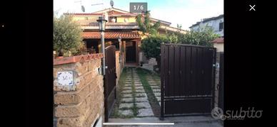 Campo ascolano