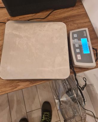 bilancia alimenti professionale