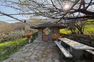 TER. AGRICOLO A FORESTO SPARSO