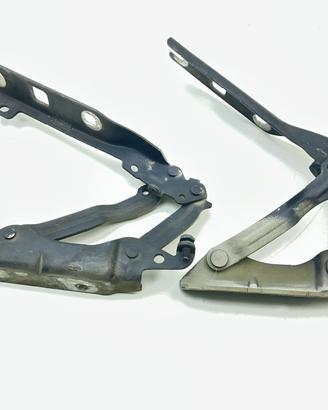 CERNIERE COFANO ANTERIORE DX E SX VOLKSWAGEN Golf