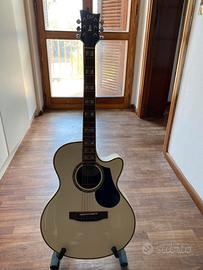 Chitarra Acustica LTD