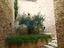 Immagine 14