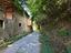 Immagine 8
