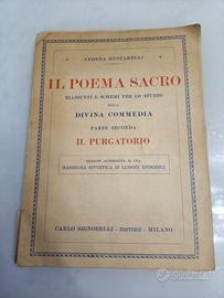 Il Poema Sacro Riassunti schemi per studio Divina 