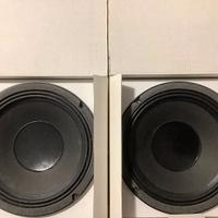 Coppia Woofer Ciare PW205ND