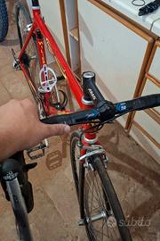 bicicletta wilier triestina evasion