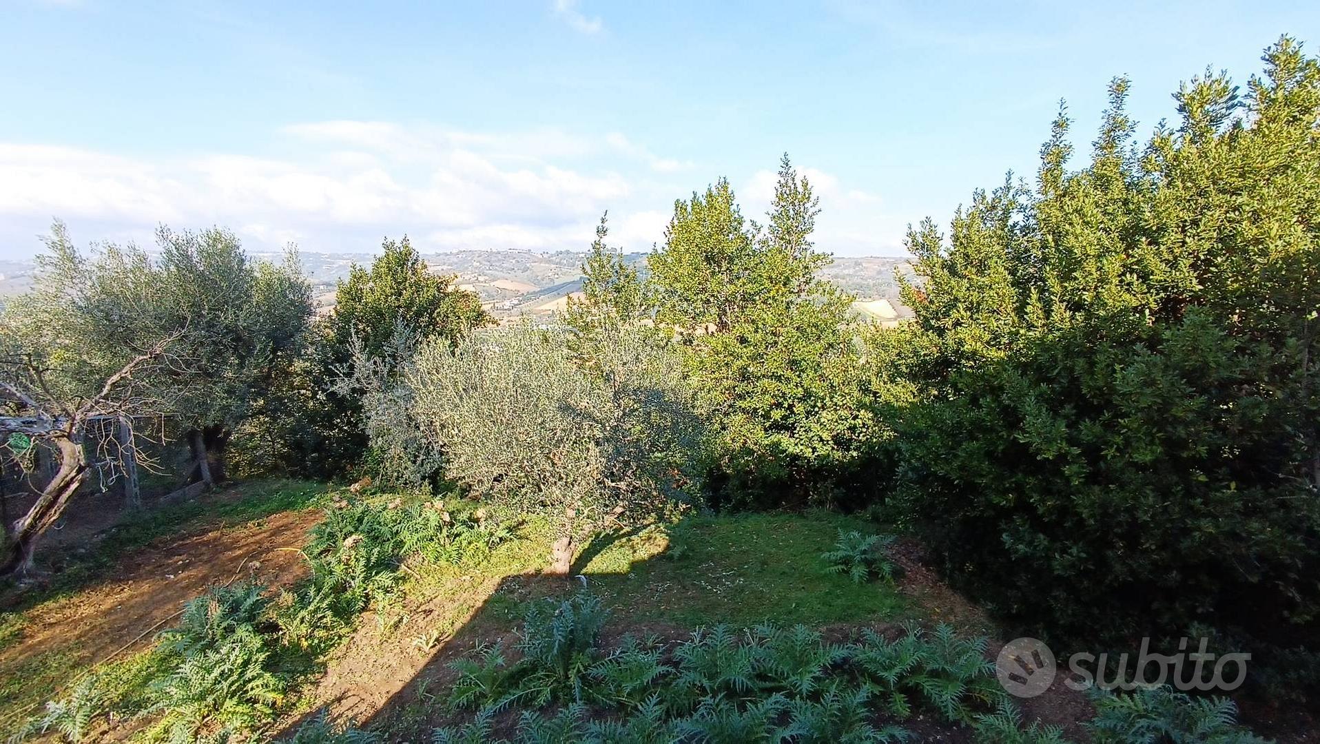 Casale / Rustico - Massignano - Vista 5