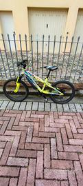 MTB 20pollici