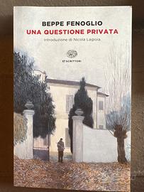 Una questione privata. Beppe Fenoglio