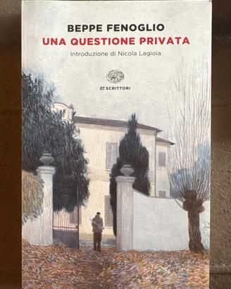 Una questione privata. Beppe Fenoglio