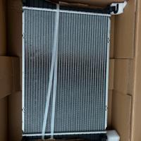 Radiatore Fiesta ST150 / radiatore CLIMA