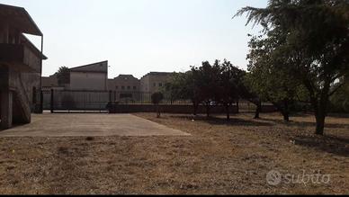 Immobile di ampia metratura con locali commerciali