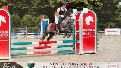 Pony sportivo