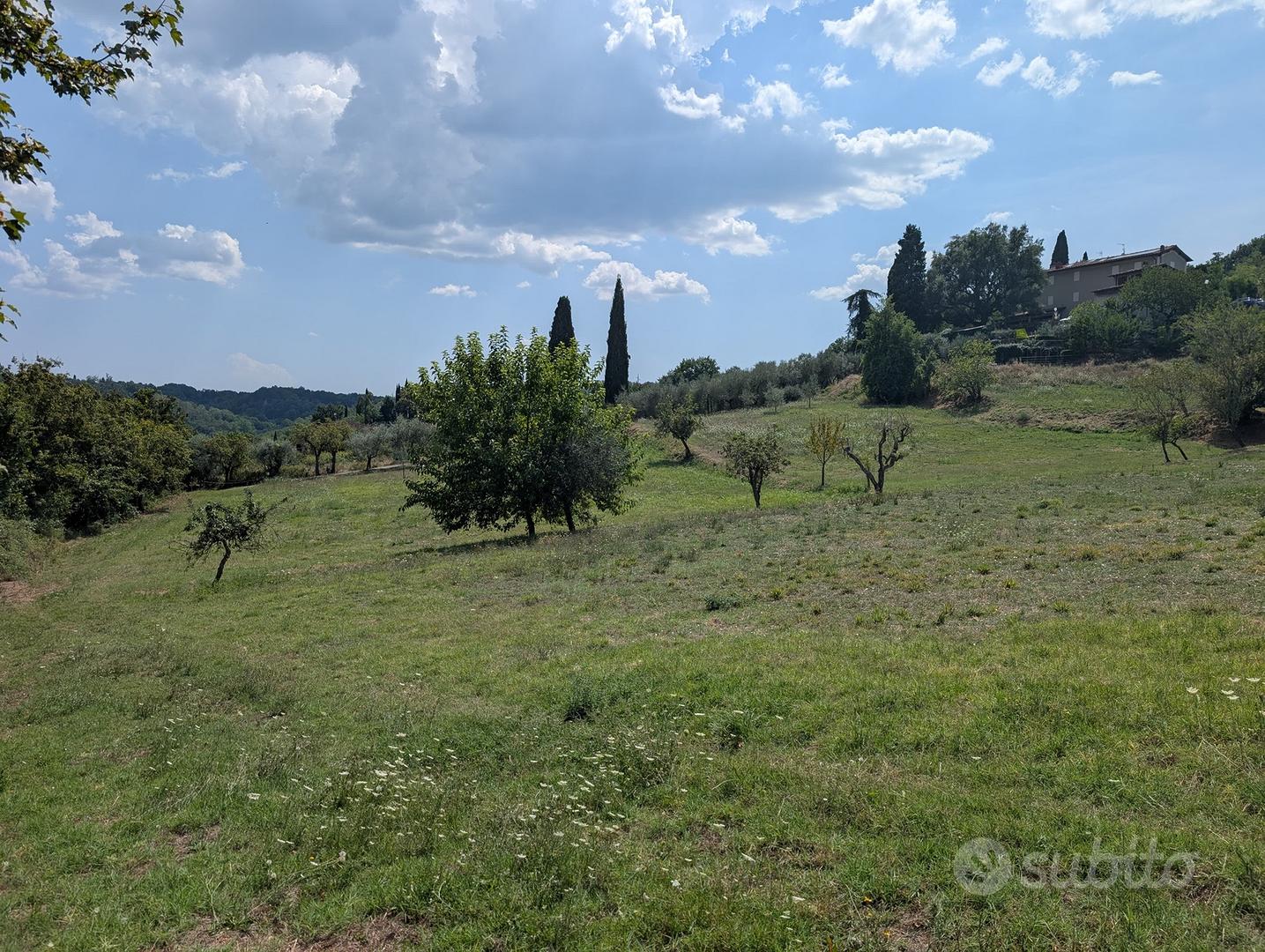 Terreno agricolo in Via Chianti Valdarno 1 - Vista 2