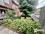 Immagine 22