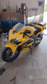 cbr 600