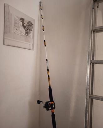canna da pesca e mulinello 