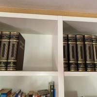 Treccani – “Enciclopedia del Novecento”