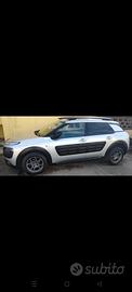 C4 cactus (leggere descrizione) 