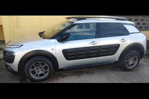 C4 cactus (leggere descrizione) 