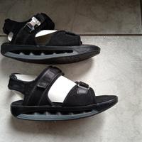 Scholl