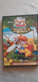 DVD serie I Miei amici Tigro & Pooh