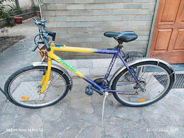 Mountain-bike 