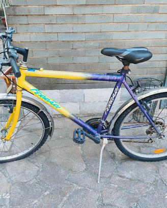 Mountain-bike 