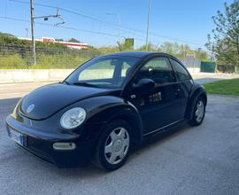 New beetle