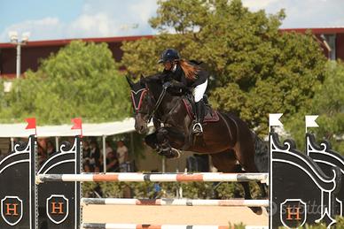 cavallo da salto