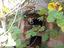 Immagine 14