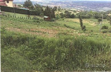 Rif.694| area edificabile travo