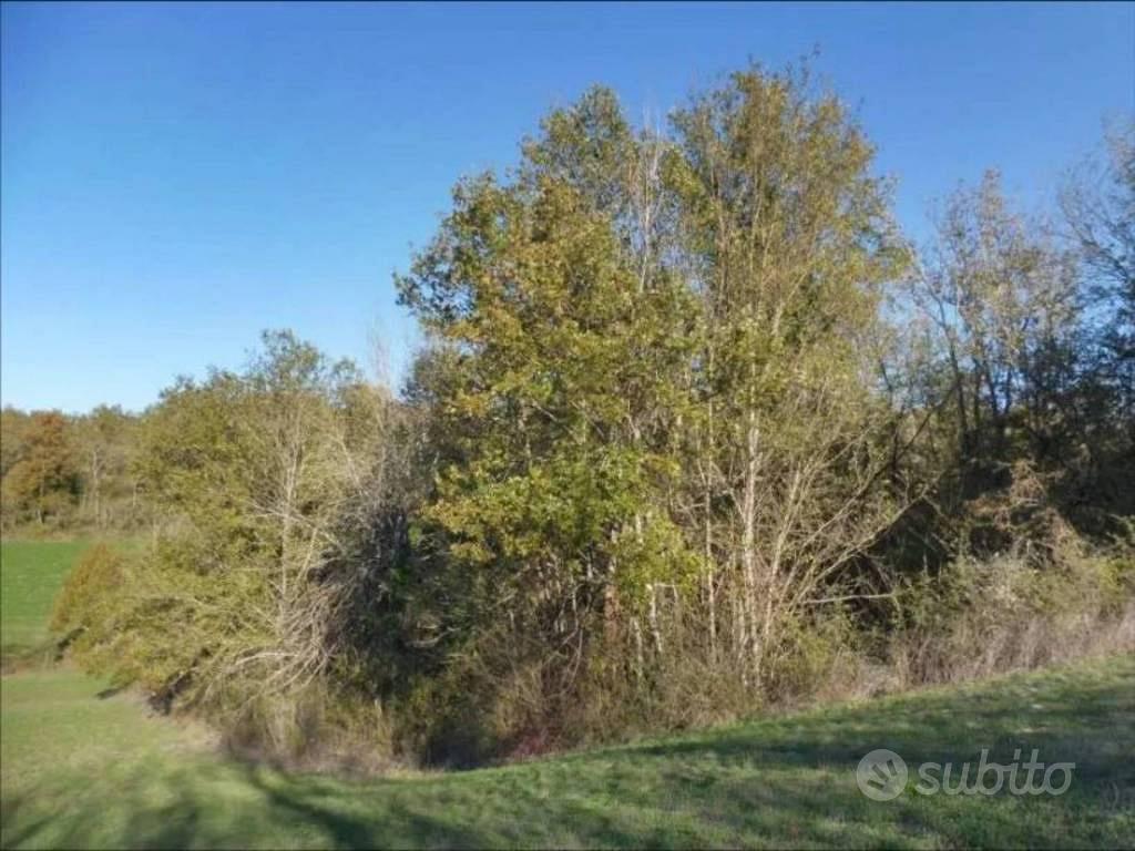 Immobile in asta di 147105 m² a Terranuova Braccio - Vista 5