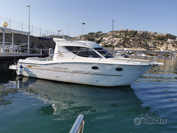 Sessa dorado 26