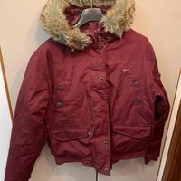 GIUBBOTTO GEOGRAPHICAL NORWAY