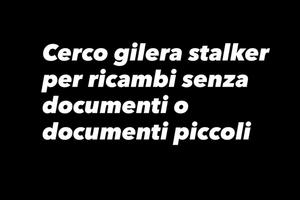 gilera stalker