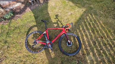 Wilier filante slr