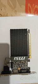 Scheda Video MSI