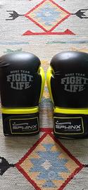 guantoni sono della Sphinx (linea Performance Gear