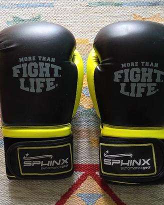 guantoni sono della Sphinx (linea Performance Gear