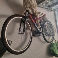 bici da uomo