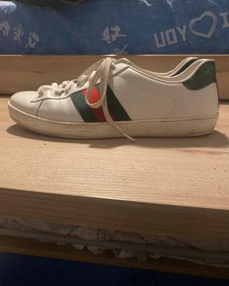 scarpe gucci