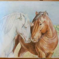 Disegno fatto a mano Figure Cavalli