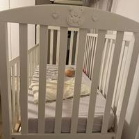 Culla erbesy orsetti