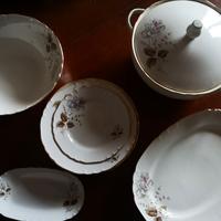 Piatti di porcellana vintage