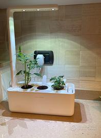 Click & Grow - Orto da interno 3 capsule