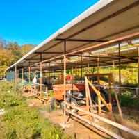 CAPANNONE/TETTOIA in ferro